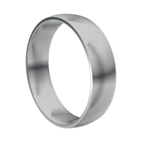 Titanium band, 3D render